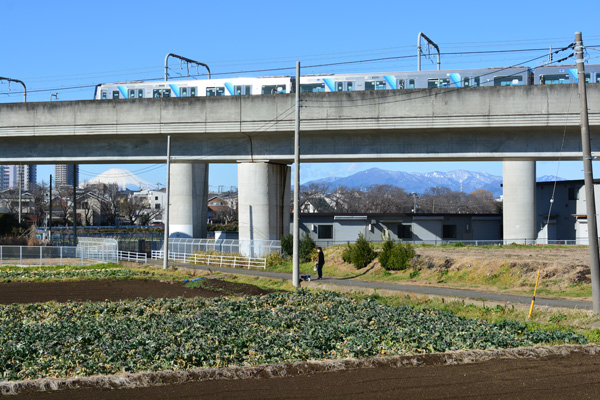 横浜市営交通カレンダー2024』発売！ | 一般財団法人横浜市交通局協力会